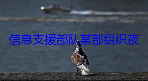 夜间修理训队某部组织信息支援部练图